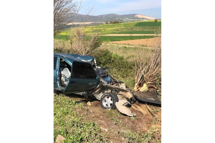 Bursa'da çarptığı ağaç üzerine düştü, feci şekilde hayatını kaybetti