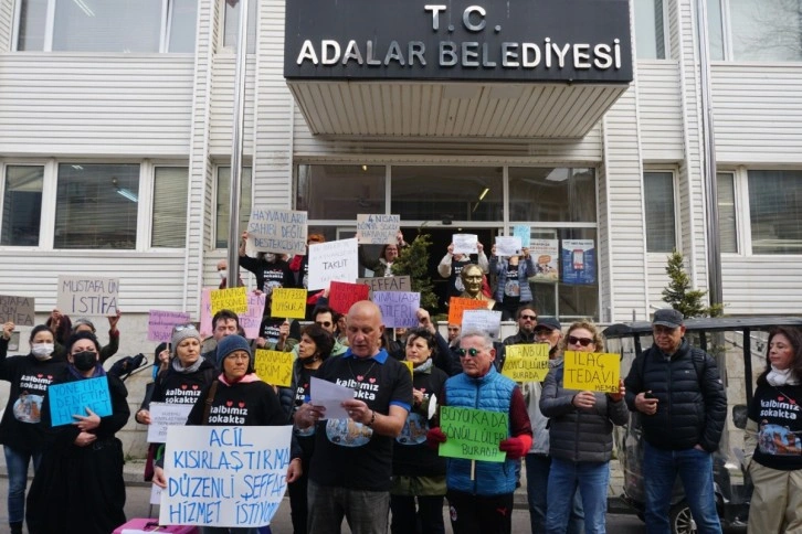 Büyükada’da hayvanseverlerden eylem: ‘Sokak hayvanlarıyla ilgili taleplerimiz yerine getirilmiyor’