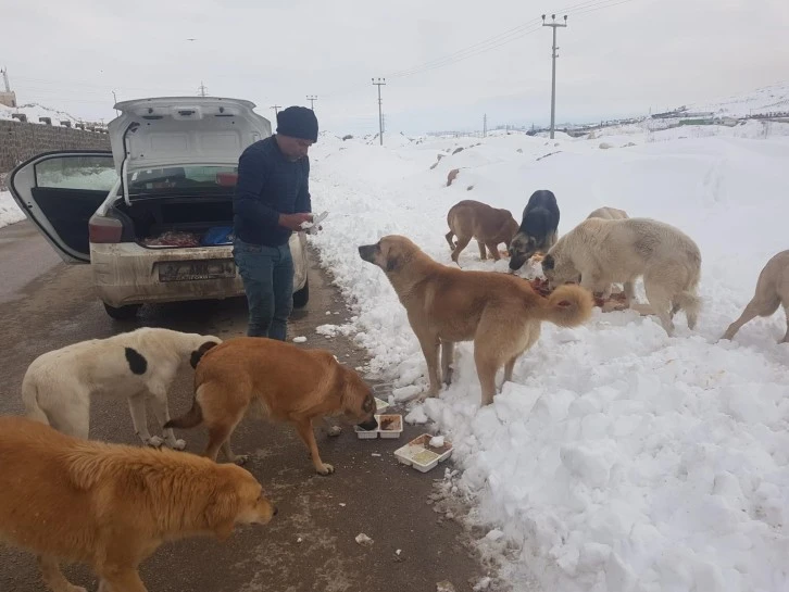 Cahide karda can dostların yanında