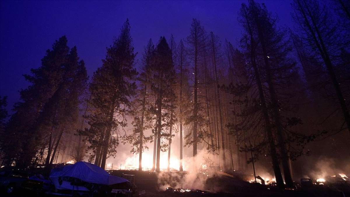 California'daki yangında yok olan ormanlık alan 200 bin hektara yaklaştı