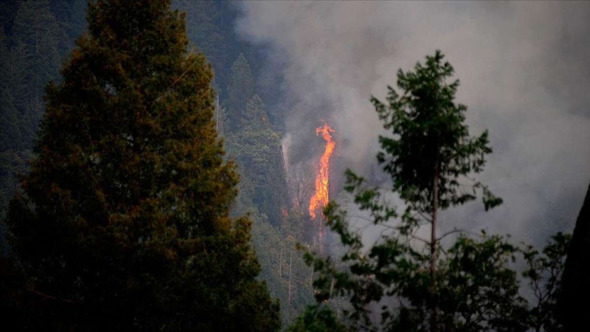 California'daki yangınlar için 'büyük afet' ilanı talep edildi