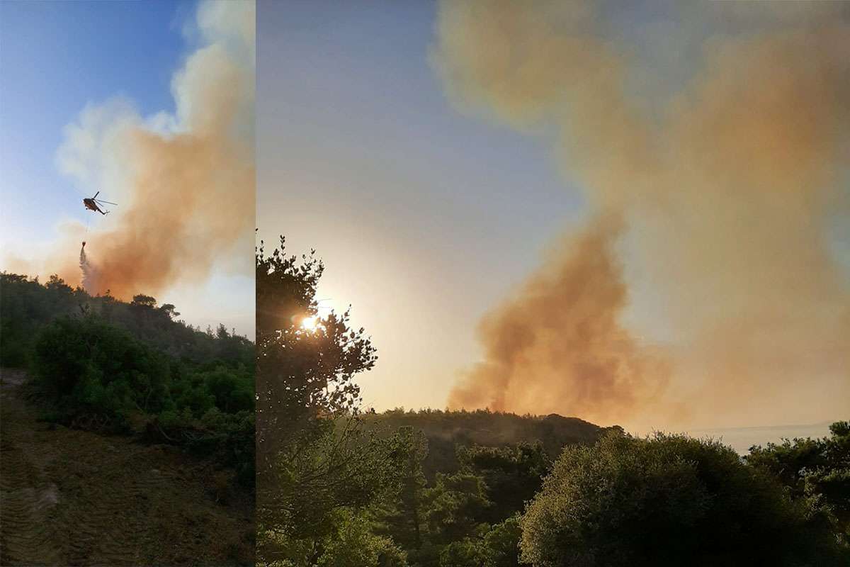 Çanakkale Ezine'de orman yangını çıktı