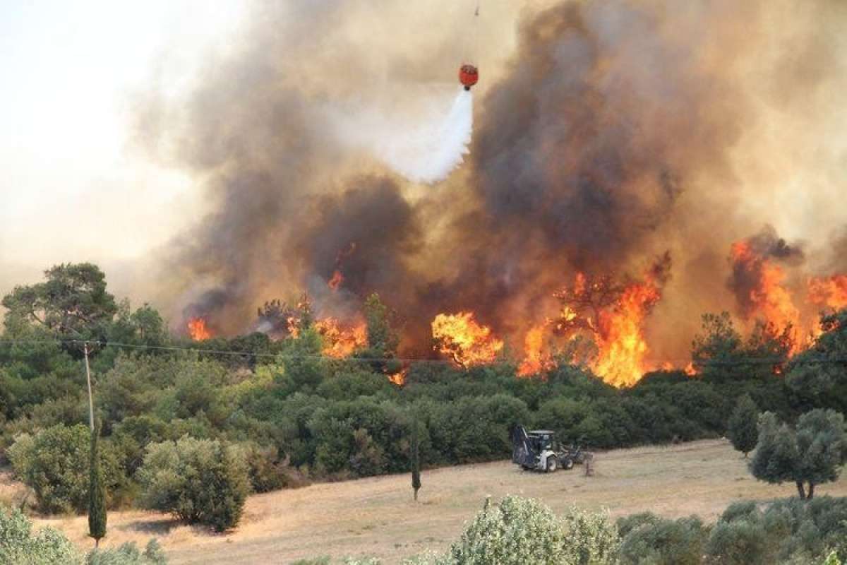 Çanakkale'de orman yangınına havadan müdahale ediliyor