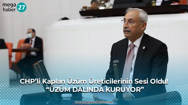 CHP’li Kaplan Üzüm Üreticilerinin Sesi Oldu; &quot;Üzüm Dalında Kuruyor&quot;