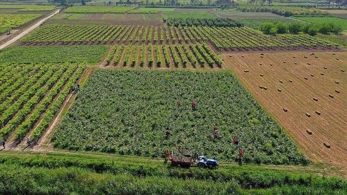 Çiftçi Kayıt Sistemi'ne 2021 başvuru döneminde son haftaya girildi