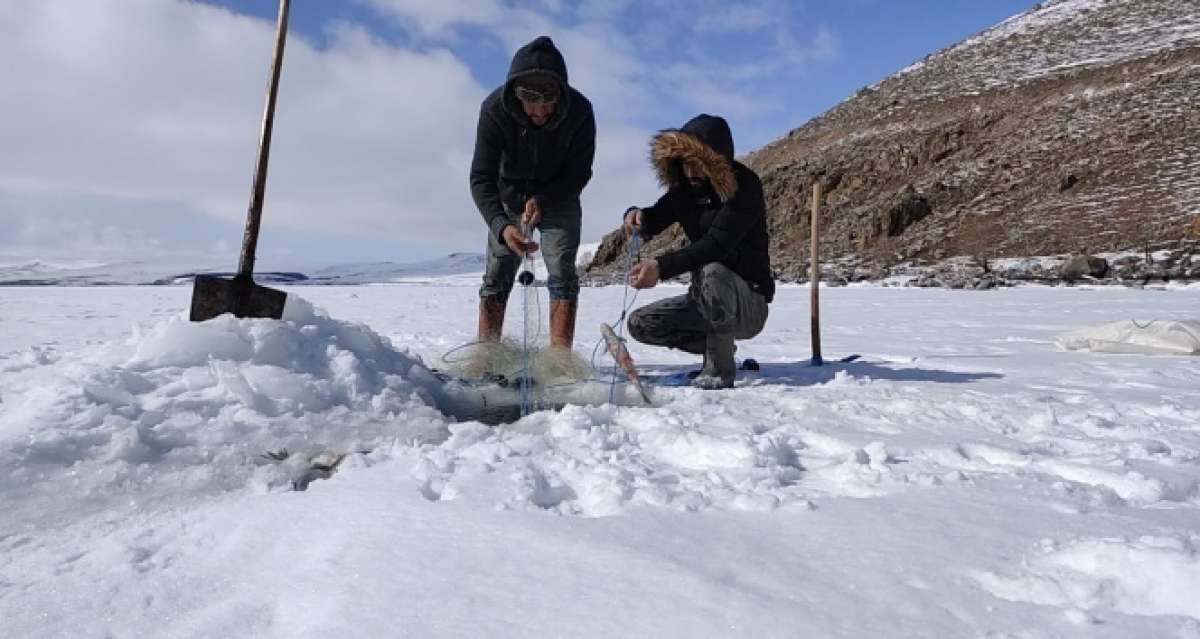 Çıldır Gölü'nde ‘Eskimo' usulü balık avı