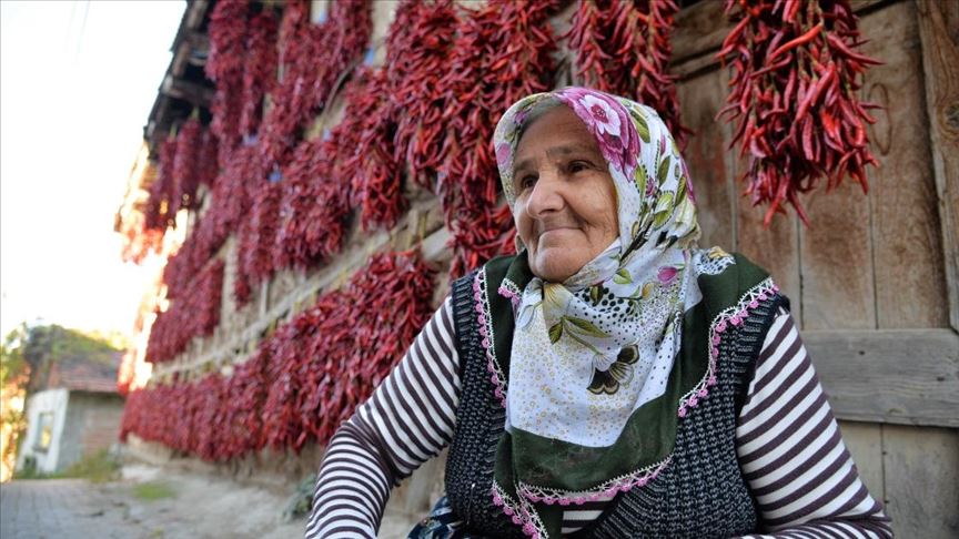 Coğrafi işaretli ’Çukurören biberi’ni kurutma mesaisi başladı