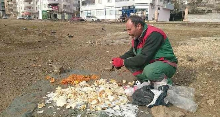 Çöplerdeki ekmeklerle 12 yıldır kuşları besliyor