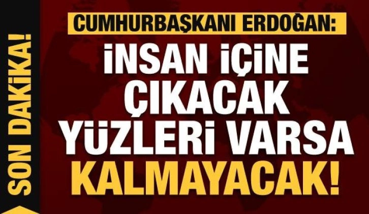 Cumhurbaşkanı Erdoğan'dan belediye başkanlarına sokak hayvanları çağrısı