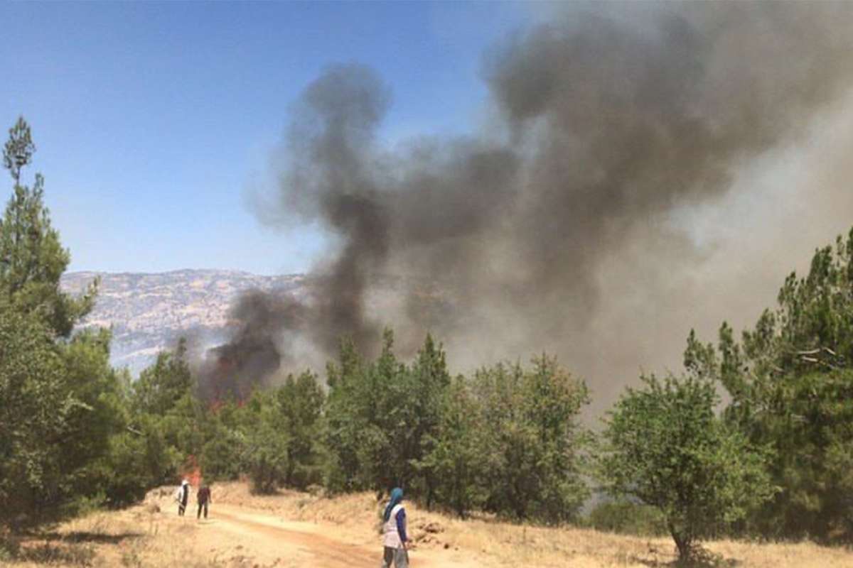 Denizli'de başlayan orman yangını için halk seferber oldu