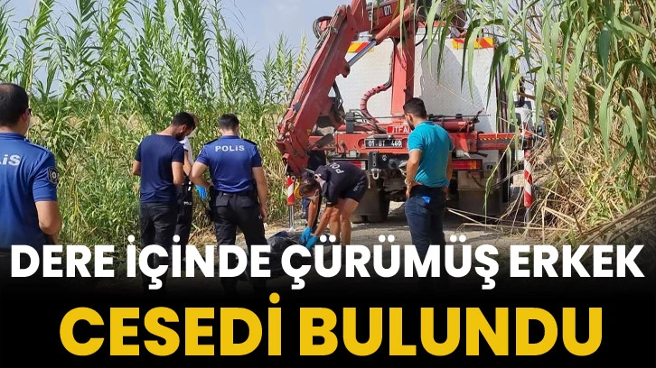 Dere içinde çürümüş erkek cesedi bulundu