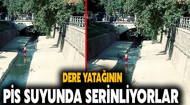 Dere yatağının pis suyunda serinliyorlar 