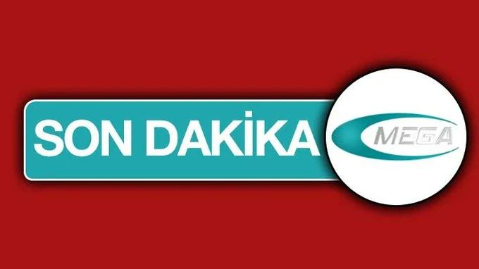 Devrilen kamyonetin sürücüsü öldü