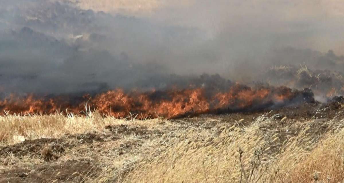 Diyarbakır'da korkutan anız yangını