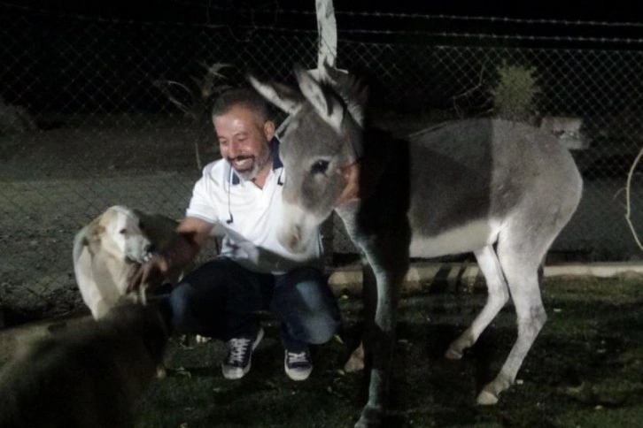 Diyarbakırlı iş adamı yolda ayağı kırık halde gördüğü eşeğe şefkat eli uzattı