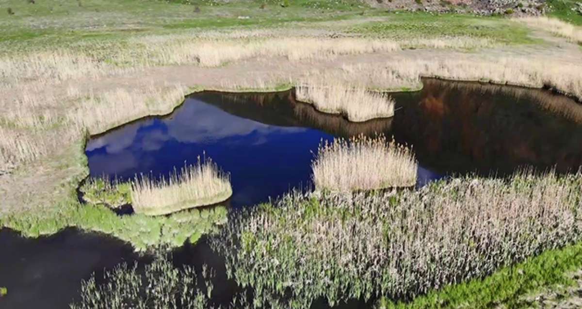 Doğa harikası ‘Yüzen Adalar' ziyaretçilerini bekliyor