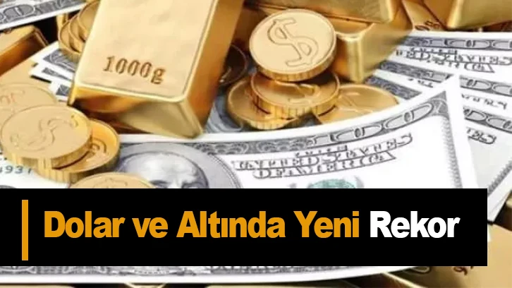 Dolar ve altında yeni rekor: Dolar 14,79 TL'yi Altın 842 TL'yi gördü