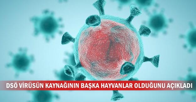 DSÖ virüsün kaynağının başka hayvanlar olduğunu açıkladı