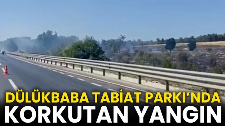 Dülükbaba Tabiat Parkı’nda korkutan yangın