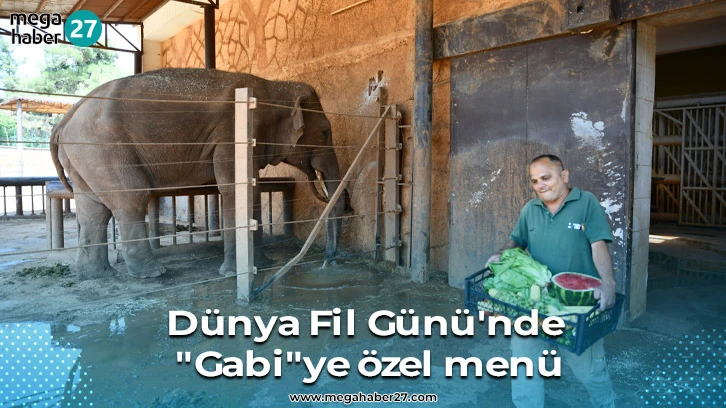 Dünya Fil Günü'nde Gabiye özel menü