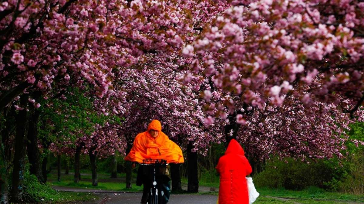 Dünya Meteoroloji Örgütü: Bu yıl Avrupa, 2013'ten bu yana en soğuk baharı yaşadı