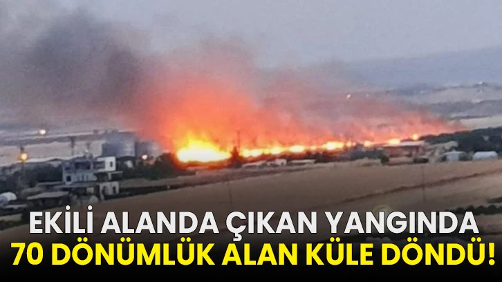 Ekili alanda çıkan yangında 70 dönümlük alan küle döndü!