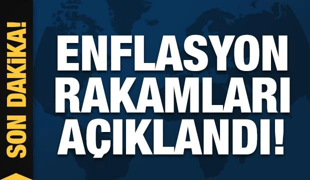 Enflasyon rakamları açıklandı