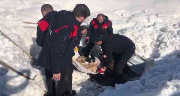 Enkazın altındaki köpek kurtarıldı