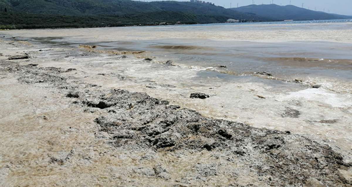 Erdek körfezinde deniz salyası kabusu