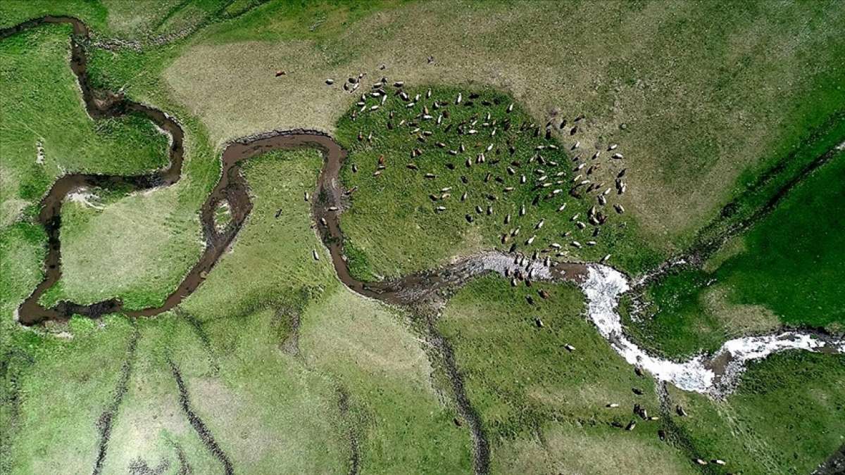 Erzurum'da kar sularının oluşturduğu menderesler büyülüyor