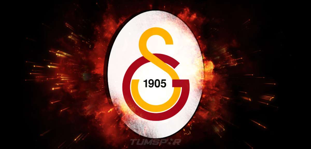 Eşref Hamamcıoğlu, Galatasaray başkanlığına aday oldu