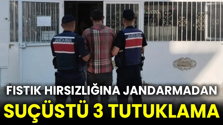 Fıstık hırsızlığına jandarmadan suçüstü 3 tutuklama