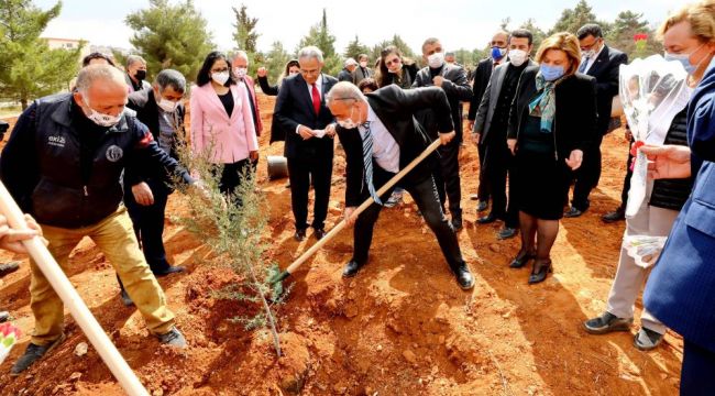 GAÜN'den fidan dikimi 