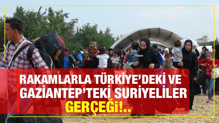 Rakamlarla Turkiye Deki Ve Gaziantep Teki Suriyeliler Gercegi Gaziantep Haberler Gaziantep Haberler Son Dakika Olay Haber Mega Haber 27