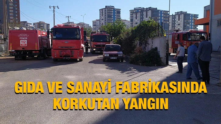 Gaziantep'te Gıda ve sanayi fabrikasında korkutan yangın