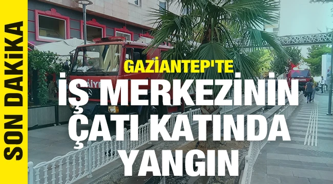 İş merkezinin çatı katında çıkan yangın korkuttu