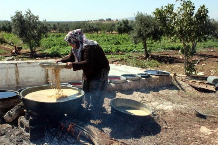 Kilis’te gün pekmezi üretimi başladı