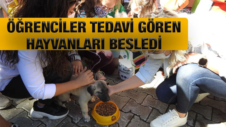 Öğrenciler tedavi gören hayvanları besledi