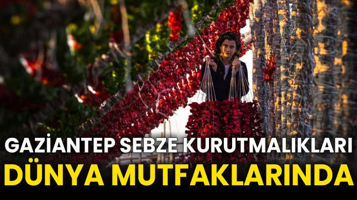 Gaziantep sebze kurutmalıkları dünya mutfaklarında