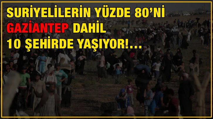 Suriyelilerin yüzde 80’ni Gaziantep dahil 10 şehirde yaşıyor!…