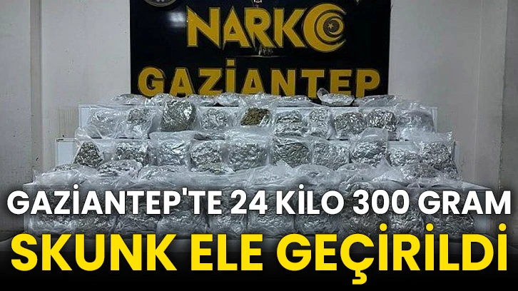 Gaziantep'te 24 kilo 300 gram skunk ele geçirildi