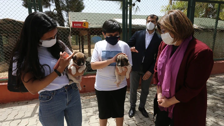 Gaziantep’te 4 ayda 150 sokak hayvanına yeni yuva bulundu