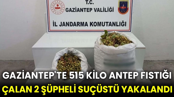 Gaziantep'te 515 kilo Antep fıstığı çalan 2 şüpheli suçüstü yakalandı