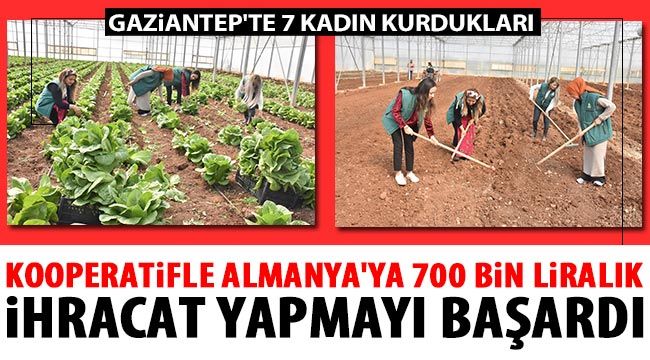 Gaziantep'te 7 kadın kurdukları kooperatifle Almanya'ya 700 bin liralık ihracat yapmayı başardı