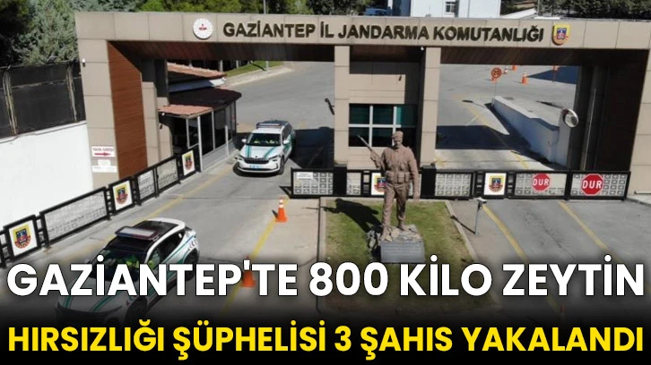 Gaziantep'te 800 kilo zeytin hırsızlığı şüphelisi 3 şahıs yakalandı