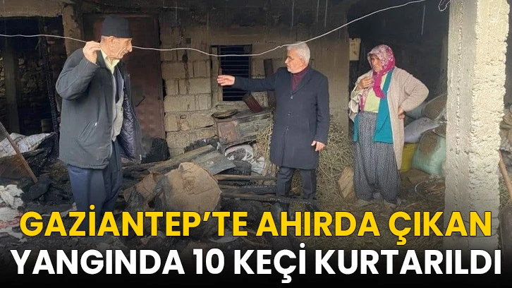 Gaziantep’te ahırda çıkan yangında 10 keçi kurtarıldı