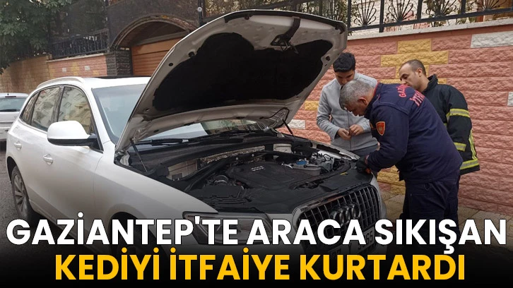 Gaziantep'te aracın motor kısmına sıkışan kediyi itfaiye kurtardı