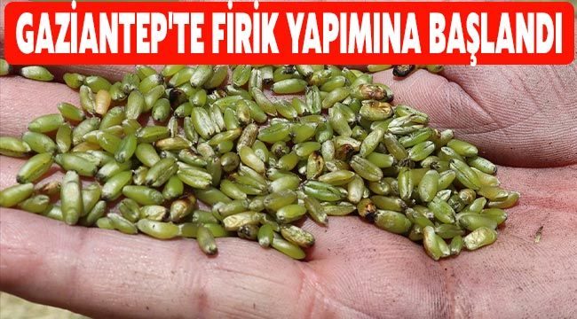 Gaziantep'te firik yapımına başlandı