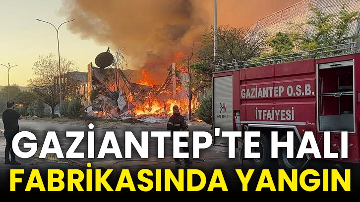 Gaziantep'te halı fabrikasında yangın