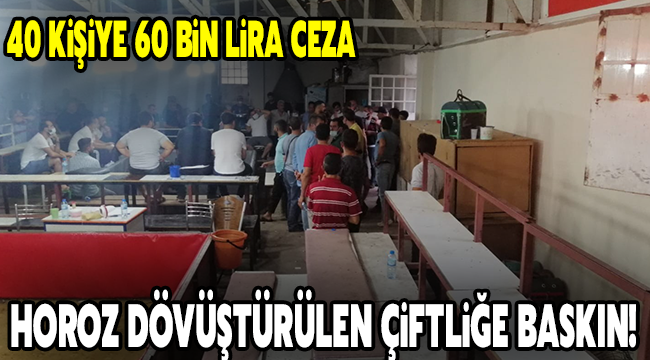 Gaziantep'te horoz dövüştürülen çiftliğe baskın: 40 kişiye 60 bin lira ceza